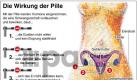So wirkt die Antibabypille. Foto: dapd