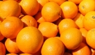 Holen Sie sich mit dem Duft einer Aromalampe die Erinnerung an den Sommer in die Wohnung. Es gibt eine große Auswahl an Düften mit unterschiedlichen Wirkungen: Zitrone erfrischt, Orange hebt die Laune, Lavendel beruhigt die Nerven, Rosmarin regt den Kreislauf an. Foto: dpa