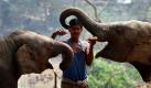 Ein Elefantenpfleger füttert zwei Elefanten im Zoo der indischen Stadt Gauhati. Foto: ap