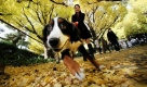 Eine Frau geht mit ihrem Hund in einem Park in Tokio spazieren.

 Foto: ap