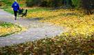 Ein Jogger trainiert im herbstlichen Park am Zwinger in Dresden. Laut Wettervorhersage soll es am Wochenende in Sachsen zu Bewölkung und einzelnen Regenschauern bei Temperaturen von sieben bis elf Grad kommen.  Foto: dpa