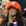 Fan Holland (Foto)