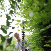 Wildwuchs muss weg (Foto)