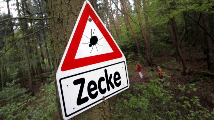 Im Sommer 2018 gilt für Deutschland besondere Vorsicht vor infizierten Zecken.