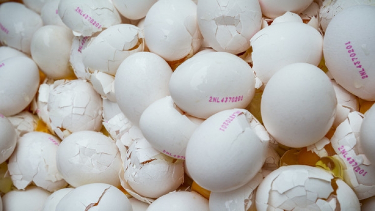Im Auftrag der niederländischen Lebensmittelkontrollbehörde NVWA wurde rund eine Million Eier aus einer Geflügelfarm in Onstwedde (Niederlande) zerstört, weil sie mit dem Insektizid Fipronil verseucht sind.