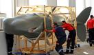 Spezialisten entladen im Japanischen Palais in Dresden einen sieben Meter langen Pottwal. Der 240 Kilogramm schwere Tiefseegigant ist das erste Exponat der neuen Sonderausstellung Tiefsee, die am 5. November in Dresden eröffnet wird. Die Schau ist eine Gemeinschaftsausstellung der Senckenberg Gesellschaft für Naturforschung mit dem Naturhistorischen Museum Basel. Foto: dpa