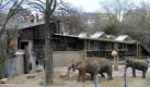 Einsatzkräfte der Feuerwehr löschen das Elefantenhaus. Die Tiere sind jetzt im Außengehege untergebracht. Foto: dpa