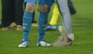 Raten Sie mal, wem diese schicken Polarstiefel gehören? Einen Hinweis geben die blauen Stutzen, ... Foto: dapd