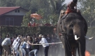 Das Treffen der Elefanten ist ein großes Fest in Thailand. Foto: ap