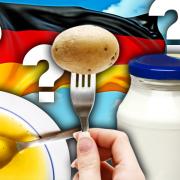 Der Mayo-Äquator
