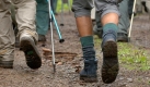 Wandern (Foto)