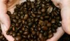 ARCHIV: Haende halten in Hamburg Kaffeebohnen (Foto vom 22.05.06). Die Ermittlungen des Bundeskartellamtes gegen mehrere Kaffeeroester stehen unmittelbar vor dem Abschluss. 'Wir wollen das Verfahren noch in diesem Jahr abschliessen', sagte ein Kartellamts-Sprecher der 'Welt am Sonntag'. Namen nannte er nicht. Im Wesentlichen seien vier Firmen betroffen. Nach Informationen der Zeitung drohen einigen Unternehmen Anfang Dezember Bussgeldbescheide. Anfang Juli vergangenen Jahres war das Bundeskartellamt bei den Kaffeeroestern Tchibo, Melitta und Dallmayr eingerueckt und hatte Beweismaterial beschlagnahmt. (zu ddp-Text) Foto: Roland Magunia/ ddp
 Foto: ddp