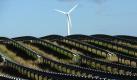 Das Angebot für Ökostrom aus alternativen Energiequellen wie Sonne und Wind steigt und ist kaum noch teurer als ein konventioneller Stromtarif. Foto: Christian Charisius Foto: dpa
