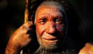 Eine unerwartet dünne Besiedlung Europas zur Zeit der Neandertaler war offenbar wesentlicher Grund für das Aussterben dieser Urmenschen vor knapp 30.000 Jahren. Die bisher umfangreichste Gen-Untersuchung an sechs Neandertalerskeletten ergab, dass höchstens 10.000 Neandertaler gleichzeitig in Europa lebten. 
 Foto: dpa