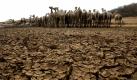 Kenia: Kein Wasser an der Wasserstelle (Foto)