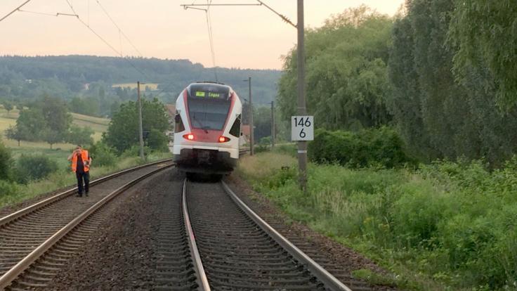 Eine Regionalbahn steht auf einem Gleis auf der Strecke zwischen Singen und Engen. Zuvor war die Bahn in eine Schafherde gefahren, dabei starben 45 Tiere.