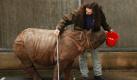 Tierpfleger Oliver Pürkel wiegt und vermisst bei der Inventur im Tiergarten in Nürnberg ein junges Panzernashorn. Die am 27. August 2009 geborene Seto Paitala wiegt 309 Kilogramm und ist 97 Zentimeter groß. Foto: ddp
