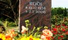 Blumen und Gebinde liegen auf dem Friedhof in Heiligenfelde bei Syke vor dem Grabstein des Entertainers Rudi Carrell. Diebe haben offenbar versucht, die Urne des 2006 verstorbenen Showmasters zu stehlen. Wie Medien berichteten, wurden sie aber bei ihrer Tat gestört. Die Urne konnte den Berichten zufolge noch am Tatort, dem Friedhof Heiligenfelde im Landkreis Diepholz, sichergestellt werden. Foto: dapd