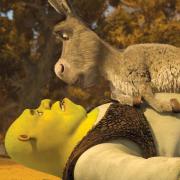 Shreks Abschied auf DVD (Foto)