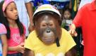 epa02863963 Eight year-old Bam the orangutan rides a bicycle during a road safety campaign for children at Dusit Zoo, Bangkok, Thailand, 12 August 2011. Thailand's Disaster Prevention and Mitigation Department held the campaign to raise children's awareness on accident prevention. EPA/NARONG SANGNAK +++(c) dpa - Bildfunk+++ 

Ein acht-jährige Orang-Utan fährt Fahrrad während einer Sensibilisierungskampagne für Kinder im Dusit Zoo, Bangkok, Thailand. Thailands Regierung hielt die Kampagne, den Kindern das Bewusstsein über Verkehrsunfälle zu erhöhen. Foto: dpa