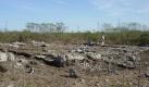 Mexikanische Archäologen haben auf der Halbinsel Yucatán sieben sehr alte Mayastätten entdeckt. Die Stätten mit den Namen Oxmul, Polok Ceh, Nichak, Cuzam, Chan Much, Tzakan und Chankiuik wurden am östlichen Stadtrand von Mérida, der Hauptstadt des Bundesstaates Yucatán, freigelegt. Demnach war der Norden Yucatáns schon viel früher besiedelt als bisher angenommen, wie das Nationale Institut für Anthropologie und Geschichte (INAH) mitteilte. Foto: dpa