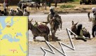 Im Tschad hat Hobor schon einen Großteil seiner Reise hinter sich. Foto: news.de / dpa (Montage) 