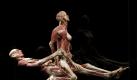 In der Ausstellung Leipzig ist der Schwebende Akt zu sehen. Ein ähnliches Plastinat hatte Gunther von Hagens nach einem Gerichtsurteil zersägt. Foto: dpa