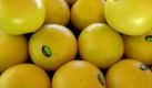 Bittere Grapefruit versüßt den Fettabbau (Foto)