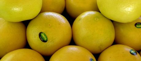 Warum die Grapefruit am Fett zerrt (Foto)