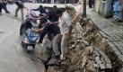 Ahmedabad Fire and Emergency Service personnel and volunteers remove scooters caught in the collapsed part of a road that caved in Tuesday, Aug. 3, 2010 in Ahmadabad, India. A spell of rain caused a slab of drainage system to collapse, resulting in the cave-in. (AP Photo/Ajit Solanki) 


Brand-und Notfall-Personal und andere Freiwillige entfernen Motorroller auf eine eingestürzte Teil einer Straße in Ahmedabad, Indien. Starker Regen hat dem  Einsturz verursacht. Foto: ap