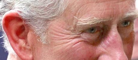 Prinz Charles mischt sich unters Volk (Foto)