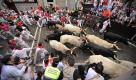 Am zweiten Tag des Stierrennens in der spanischen Stadt Pamplona sind sieben Menschen verletzt worden. Unter ihnen ein Australier, der einen 550 Kilogramm schweren Stier provoziert hatte und von diesem daraufhin am Bein aufgespießt wurde. In den kommenden Tagen finden sechs weitere Rennen statt. Beim ersten Rennen am Donnerstag gab es 24 Verletzte. Foto: dapd