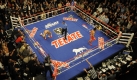 Miguel Cotto, of Puerto Rico, left, rises from the canvas, as Manny Pacquiao, of the Philippines, returns to his corner after knocking him down in the fourth round of their WBO welterweight boxing title fight Saturday, Nov. 14, 2009 in Las Vegas. Referee Kenny Bayless stands at center. Pacquiao went on to win the bout by TKO in the 12th round. (AP Photo/Mark J. Terrill) Foto: ap