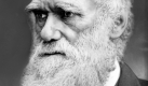 Naturforscher mit Rauschebart: Charles Darwin wurde vor 200 Jahren geboren. Foto: dpa