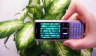 Zimmerpflanze unterm Nacktscanner. Den Zahleneffekt kennt man schon aus Matrix: Der Nude Scanner von Jamba wartet mit wenigen, unoriginellen Animationen auf... Foto: news.de