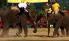 Zwei indische Elefantenpolospieler spielen bei der Weltmeisterschaft des Elefantenpolos in  Thakurdwar, Nepal. Beim Elefantenpolo stehen sechs Elefanten und ihre Spielführer auf dem Spielfeld und jagen einem weißen Poloball hinterher, der die Belastung durch den Elefantenkörper standhält. Foto: ap