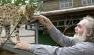 Auch das Erbgut der Steppenkatze wurde zu Rate gezogen. Dieses Exemplar spielt übrigens mit Schauspieler Kostas Papanastasiou, besser bekannt als Panaiotis Sarikakis, Akropolis-Wirt in der Lindenstraße. Foto: ddp