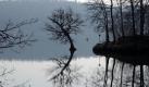 Still und klar liegt der See: Eine Eiche steht mit nassen Füßen im hessischen Edersee. Foto: Uwe Zucchi Foto: dpa