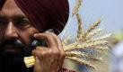 Der indische Bauer Kashmir Singh erledigt während der Feierlichkeiten zum Visakhi-Festival auf einem Getreidefeld in Pandori Varaich in der Nähe von Amritsar ein Telefonat. Mit dem Visakhi wird die erste Ernte des Jahres nach der Wintersaison gefeiert. Foto: dpa