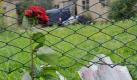 Trauer: Hinterbliebene haben fünf rote Rosen und zwei Kerzen an den Tatort gestellt.  Foto: news.de