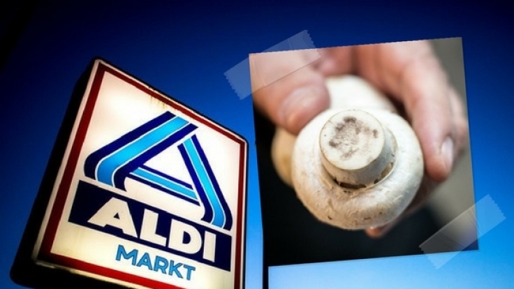 Aldi Nord ruft Champignons zurück.