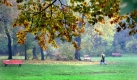Eine Spaziergängerin läuft am Dienstag bei trübem Nieselwetter und Temperaturen um drei Grad Celsius durch den Jahnpark in Berlin.  Foto: dpa