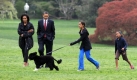 Familienausflug: Barack und Michelle Obama mit ihren Kindern Sasha und Malia, die Bo - den neuen Hund der Familie - an der Leine hlt. Foto: dpa