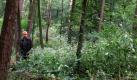 Jakob und Manu leben im Wald. Sie kochen Kaffee auf einer Autobatterie, stapfen nachts mit Stirnlampen durch das Gehölz und schlafen unter einer Plane. Foto: Filmlichter