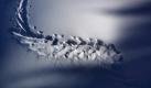 Spuren im Schnee von einem Tourengeher am Fellhorn bei Oberstdorf (Schwaben). Foto: Karl-Josef Hildenbrand Foto: dpa