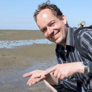 Wo die schnellste Schnecke der Welt lebt (Foto)