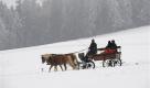 Eine Kutschfahrt im Winter ist zwar kalt, macht im Schnee aber gleich doppelt soviel Spaß. Romantik pur ist garantiert. Foto: ap
