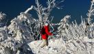 Bei minus 11 Grad, 88 Zentimeter Schnee und Sonnenschein zeigte sich Ostdeutschlands höchster Berg, der 1215 Meter hohe Fichtelberg, von seiner schönsten Seite. Der harte Winter bescherte den Schneefans ideale Bedingungen. Foto: dpa