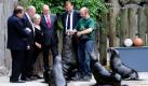 Tierpfleger Lars Purbst füttert im Rostocker Zoo im Beisein des Rektors der Universität, Wolfgang Schareck (von links), Rostocks Oberbürgermeister Roland Methling, Schauspielerin Annekathrin Bürger, Mecklenburg-Vorpommerns Ministerpräsident Erwin Sellering und Zoodirektor Udo Nagel die Seebären. Die 22 Tiergärten Mecklenburg-Vorpommerns begehen am Mittwoch den ersten Landeszootag. Foto: dapd