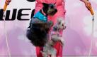 So bleiben Frauchen und Hundchen fit: Hundetrainerin  Kayo Takeda springt mit ihren Vierbeinern Sumire (links) und Akebi auf einer Hundemesse in Tokio Seil. Foto: dapd